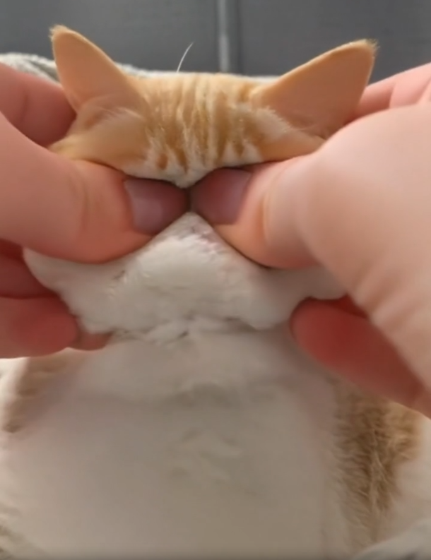 점토 릴스 만드는 방법