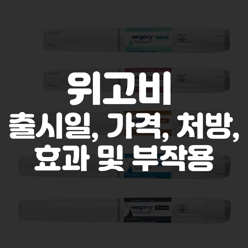 위고비 가격