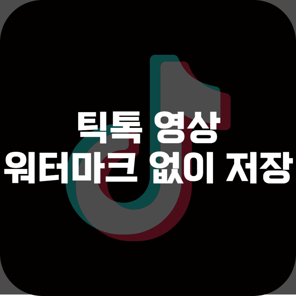 틱톡 워터마크 없이 저장
