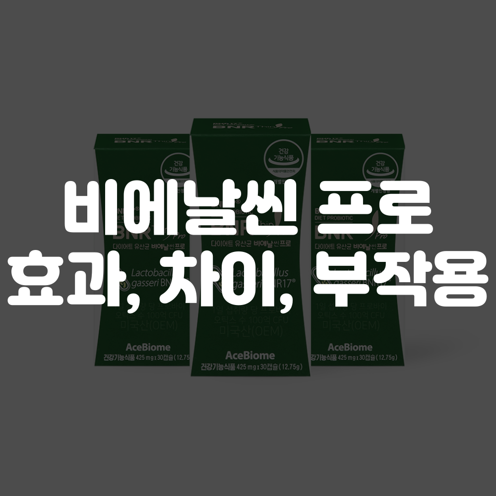 비엔날씬 프로 효능 차이 부작용