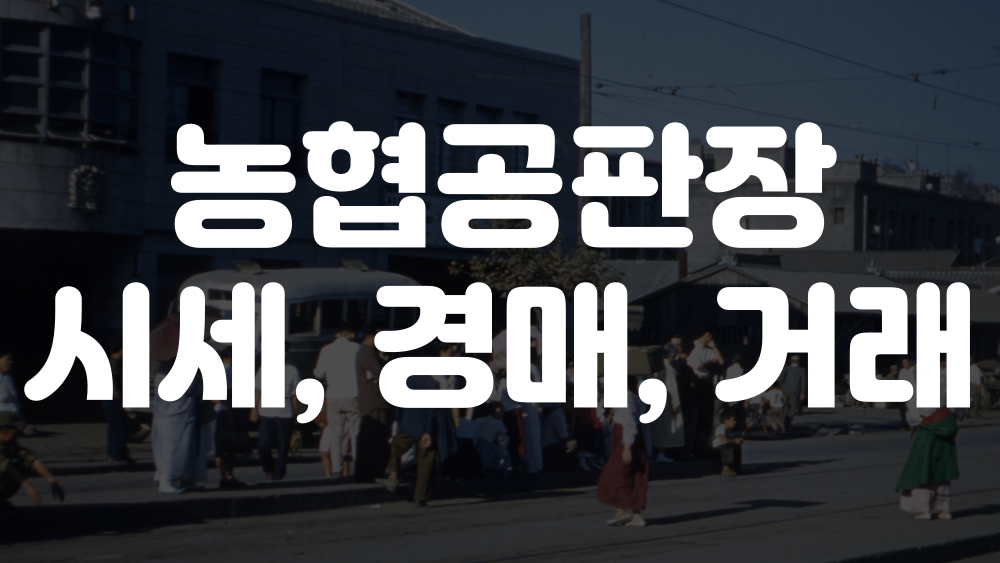 농협공판장 시세, 경매, 인터넷거래 안내 이미지