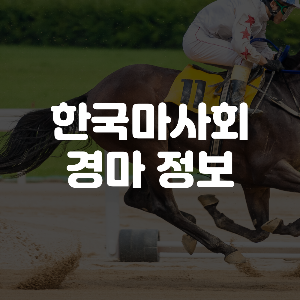한국마사회 경마정보 홈페이지