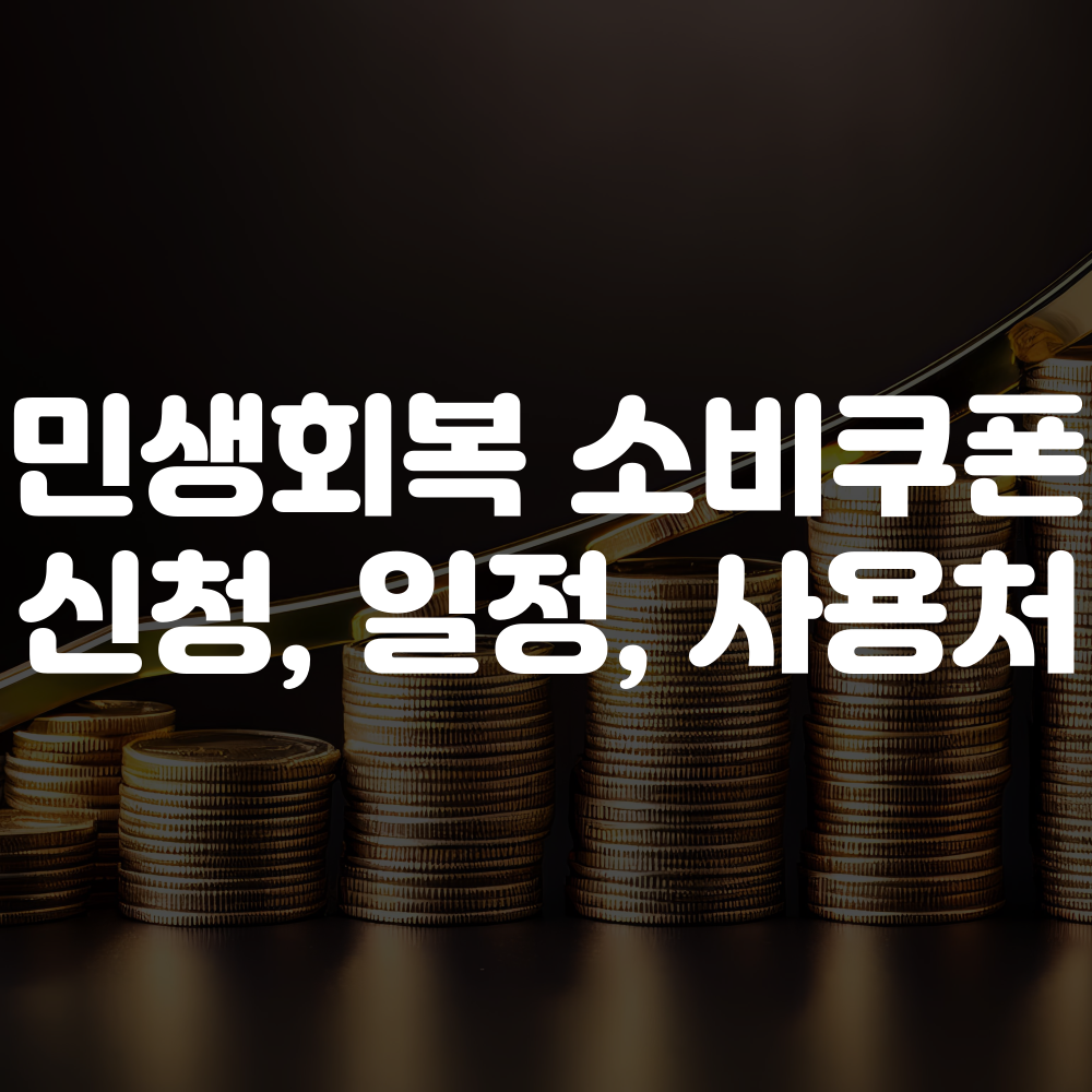 민생회복 소비쿠폰 신청방법 안내