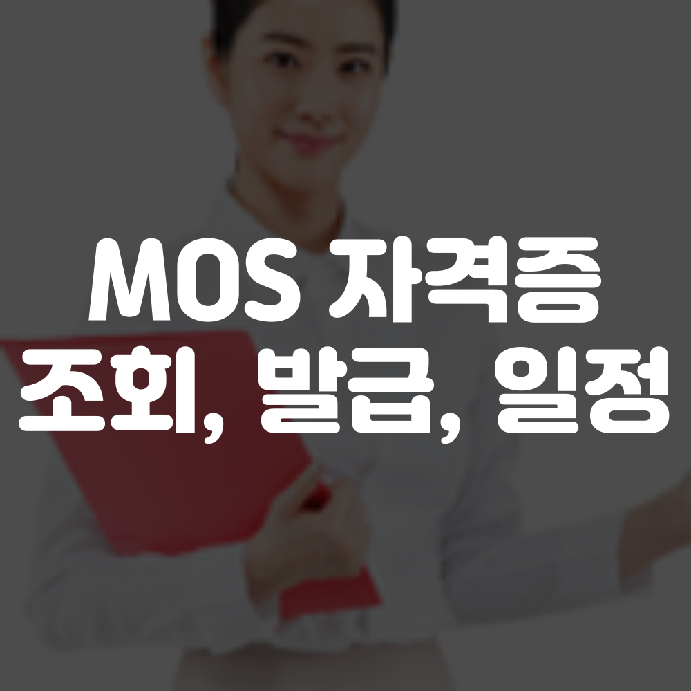 MOS 자격증 조회하기