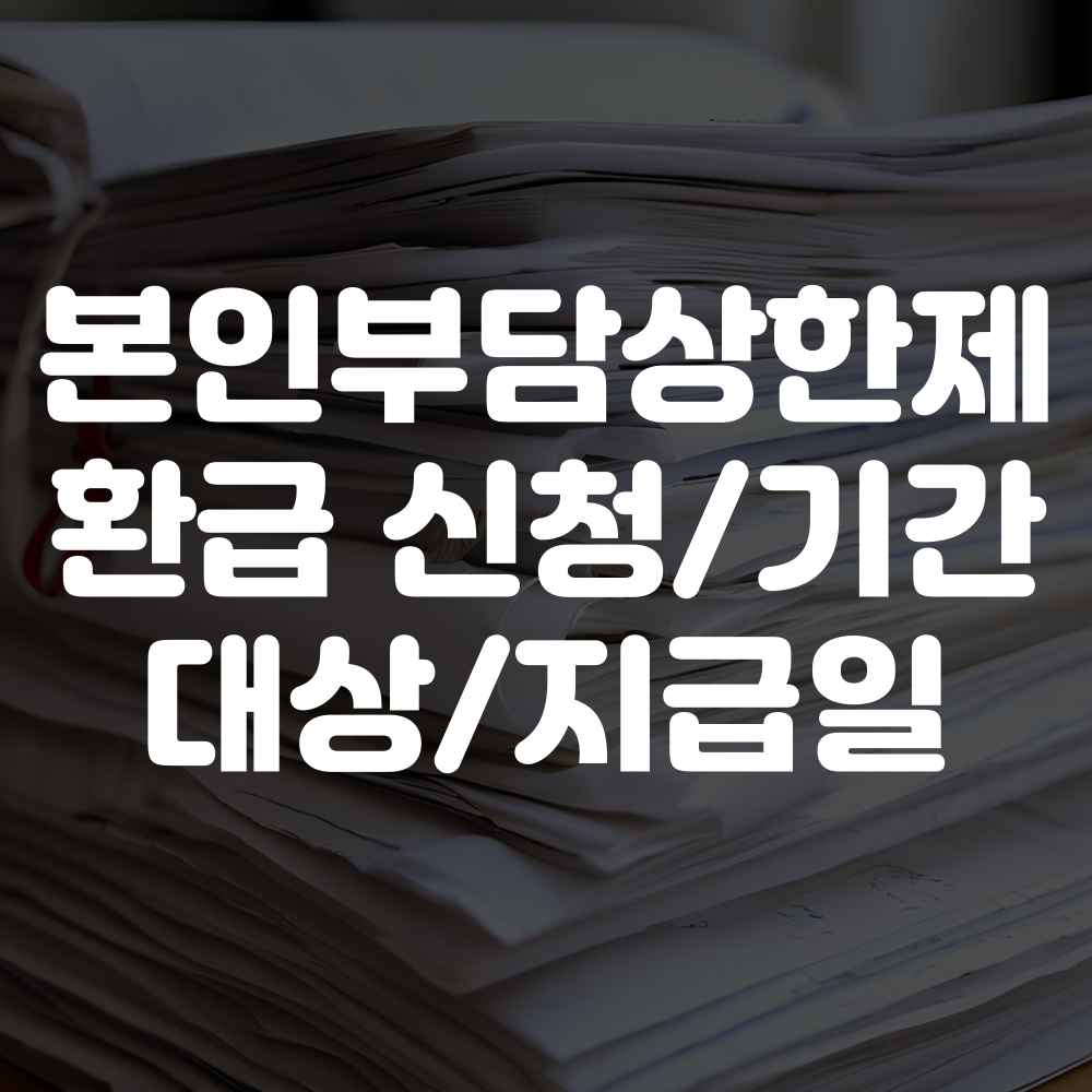 본인부담상한제 환급 신청방법 부터 기간, 대상 및 지급일