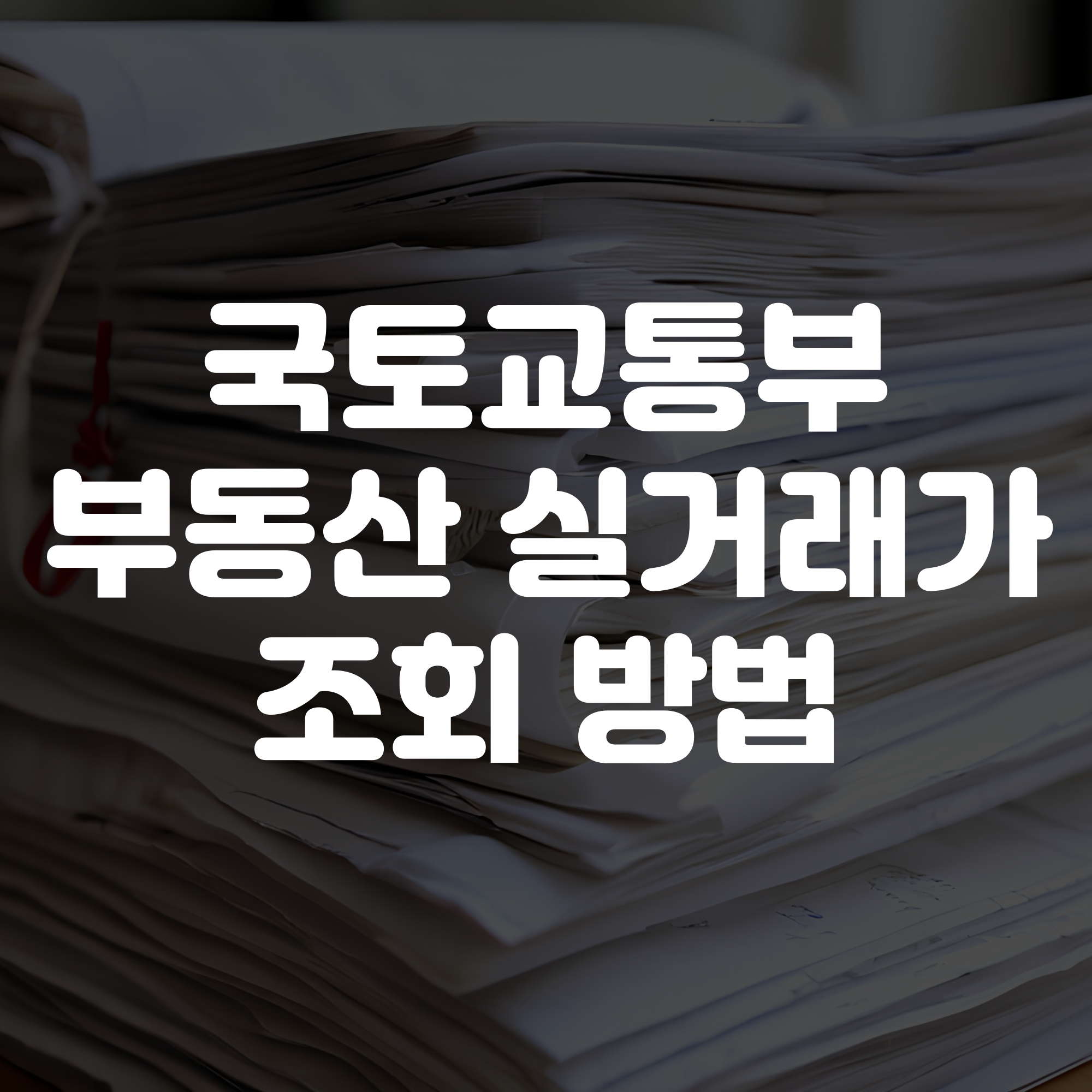 국토교통부 부동산 실거래가 조회 방법 가이드