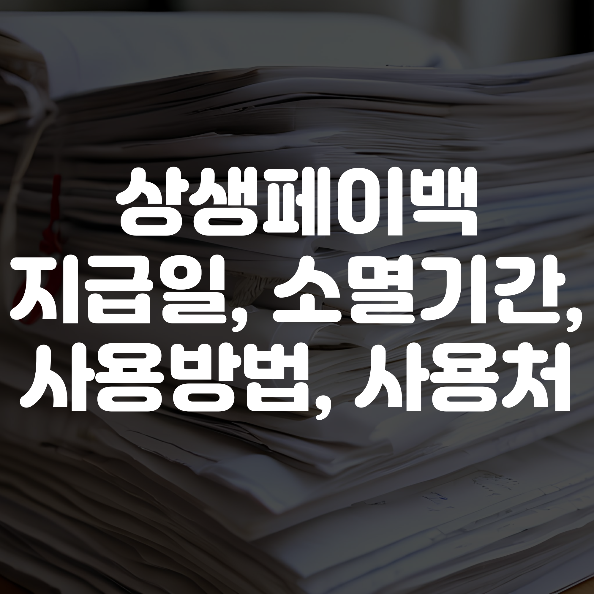 상생페이백 지급일 및 소멸기간 사용방법 총정리