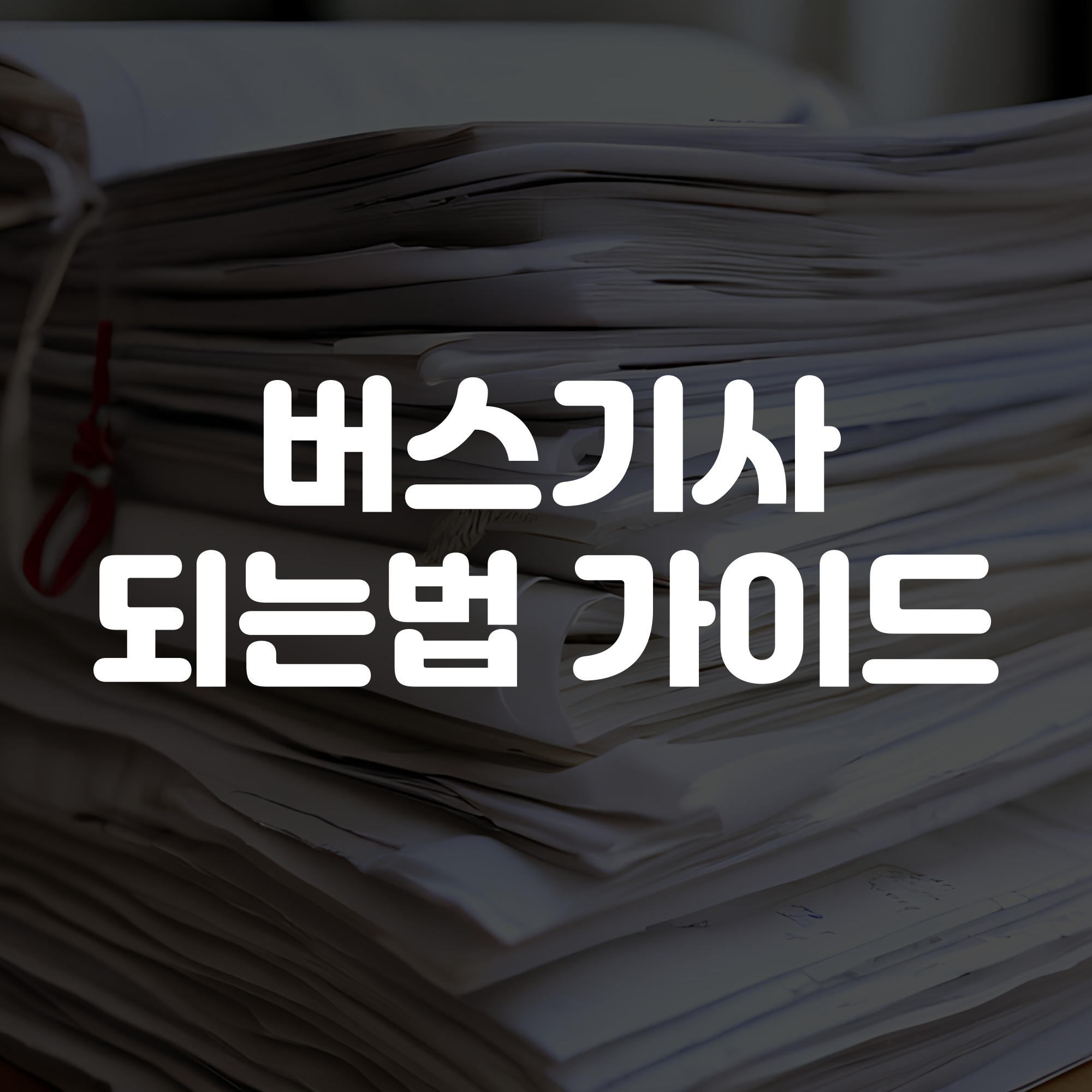 버스기사 되는법