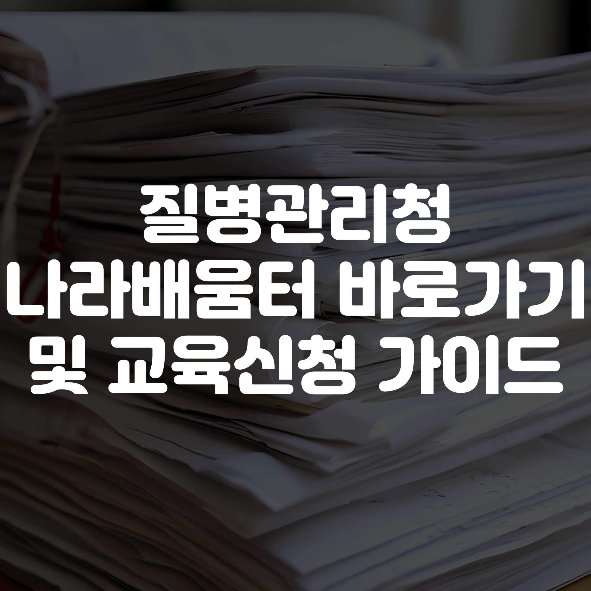 질병관리청 나라배움터 바로가기 및 교육신청 가이드