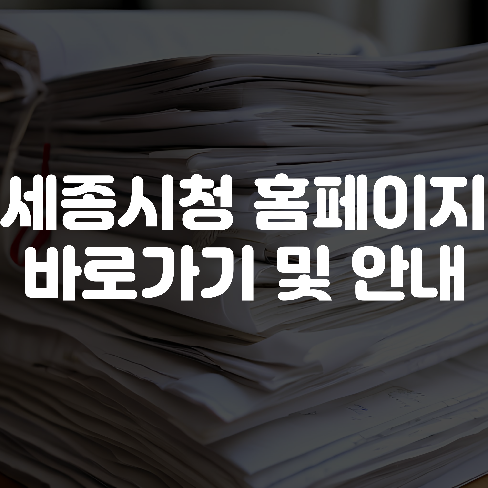 세종시청 홈페이지 바로가기