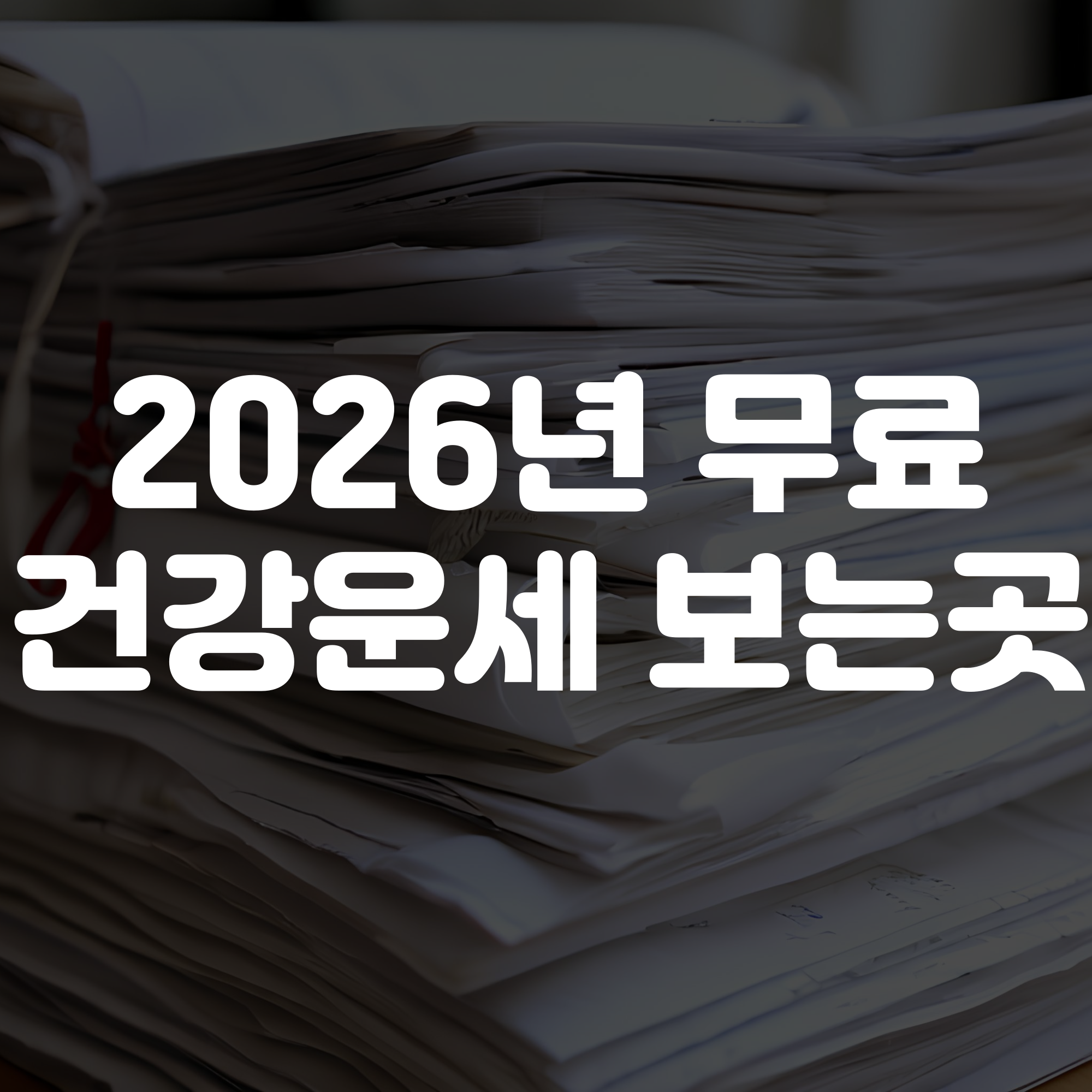 2026년 건강운세 무료보기