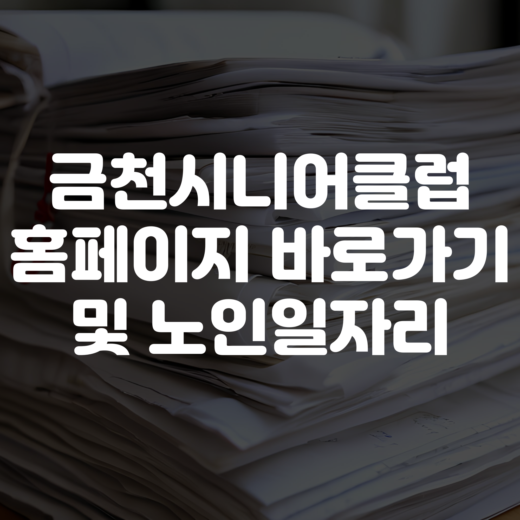 금천시니어클럽 홈페이지 바로가기 노인일자리 상담