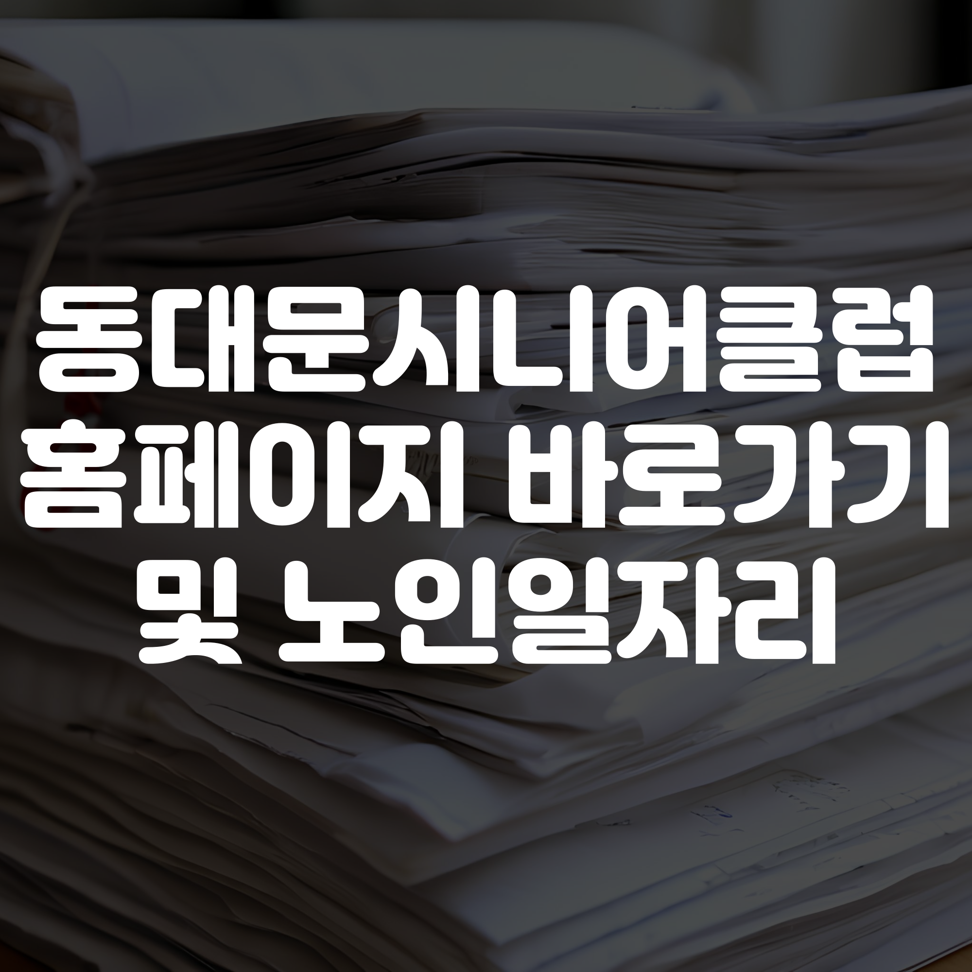 동대문시니어클럽 홈페이지 바로가기 노인일자리 확인하기
