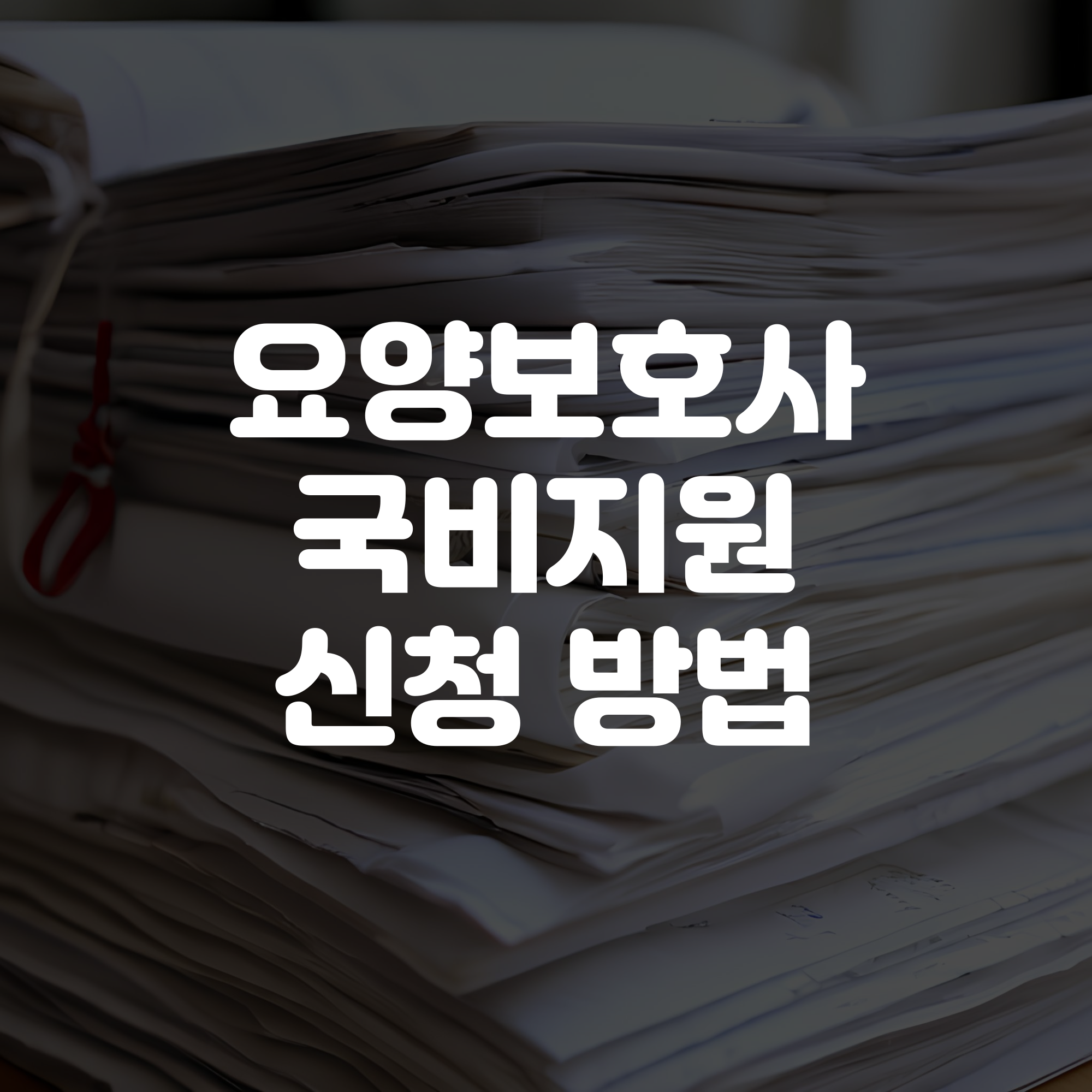 요양보호사 국비지원 신청 방법
