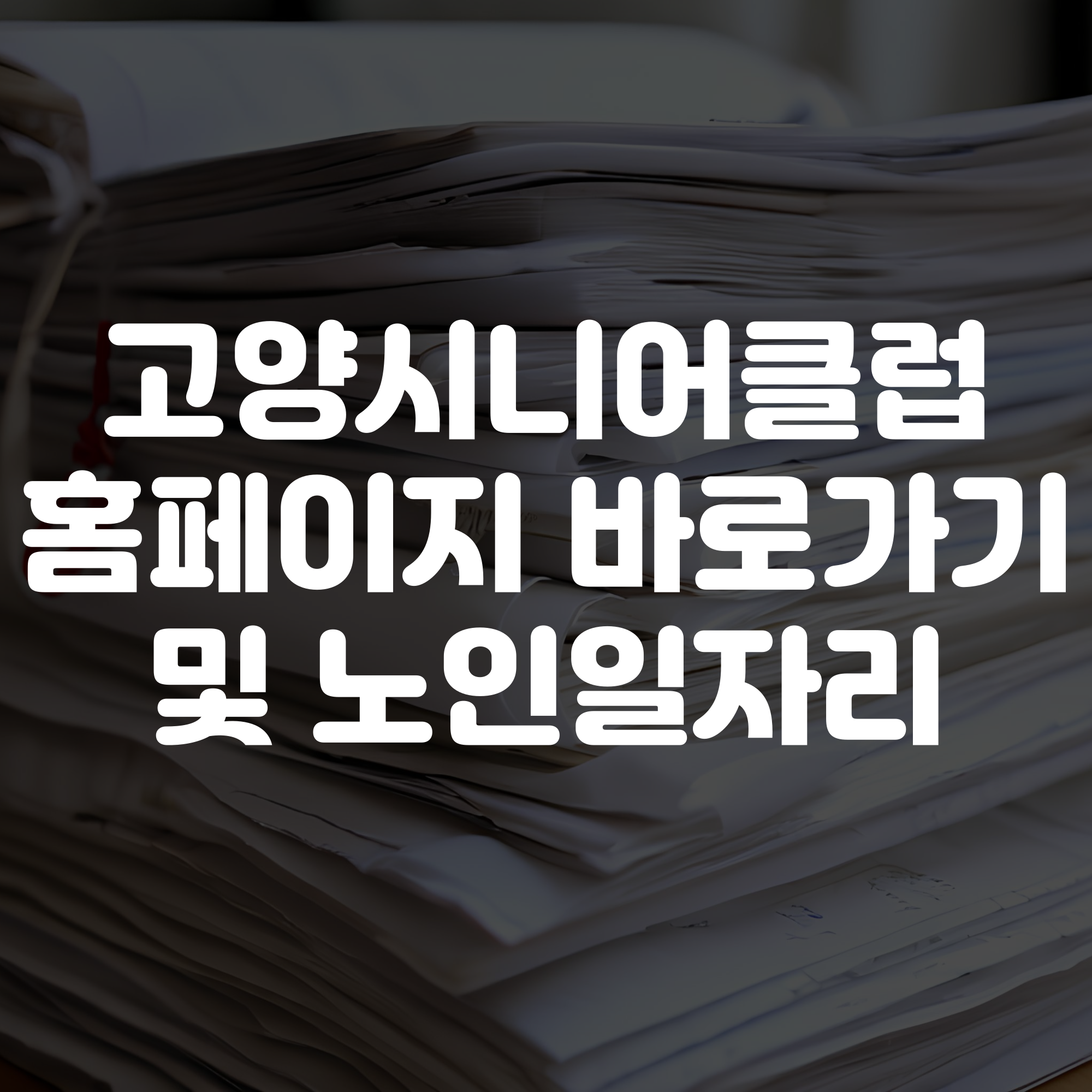 고양시니어클럽 홈페이지 바로가기 노인일자리 유형 정리