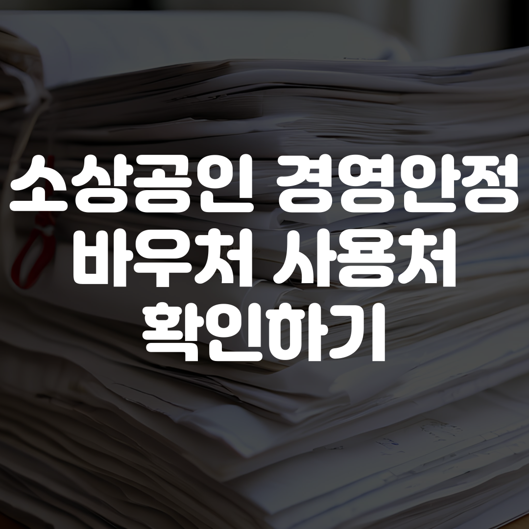 소상공인 경영안정 바우처 사용처 안내