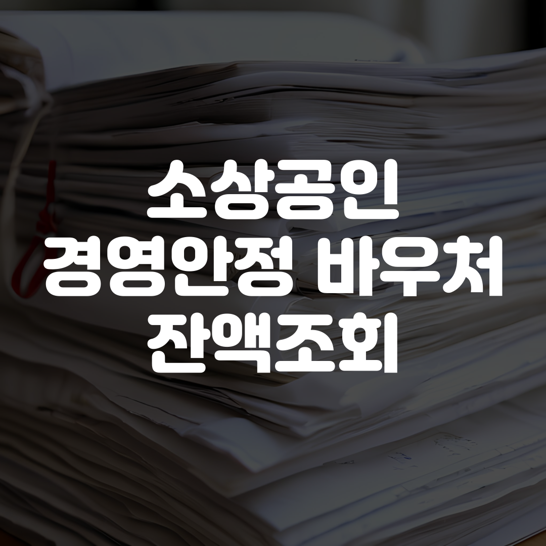 소상공인 경영안정 바우처 잔액조회 방법